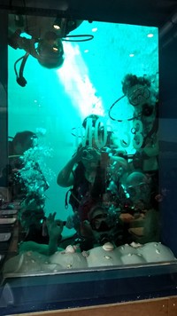 wp_20160320_13_54_43_pro.jpg